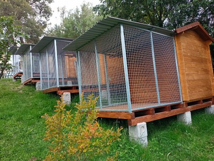isolamento termico e comfort per i Cani in una moderna pensione per cani