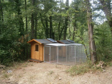 box in legno costruiti nel bosco per realizzare una pensione per cani grean