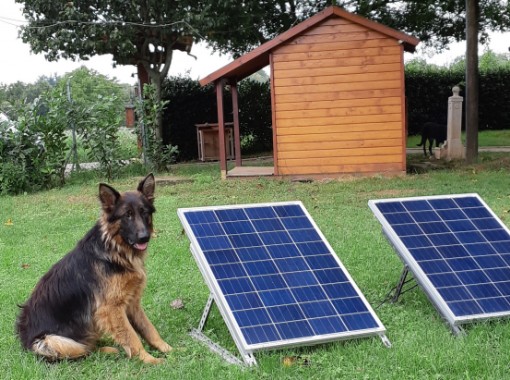 stufetta per cane alimentata con i pannelli solari