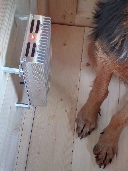 sistemi sicuri per riscaldaer le cucce dei cani