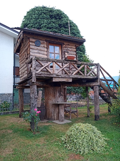 casa abitabile su albero con esterno rustico in assito invecchiato