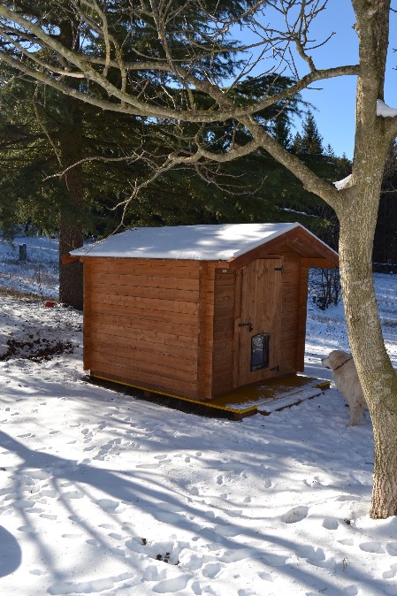 casetta in legno nella neve con un golden retriever dananti all'ingesso
