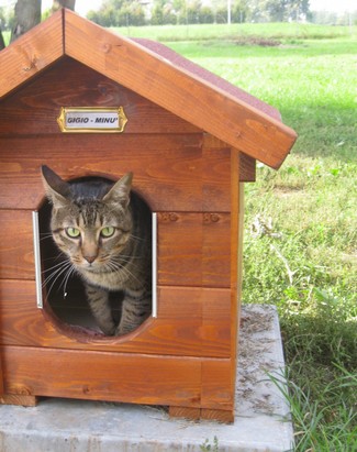 casetta in legno riscaldata per gatti